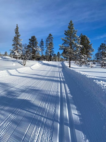 Høgseterrennet 2023